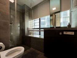 Skysuites@Anson (D2), Apartment #482859421